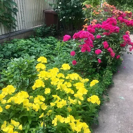 Adriana 3* Eforie Nord