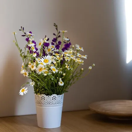 Guest house Adriana Eforie Nord