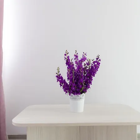 Guest house Adriana 3*