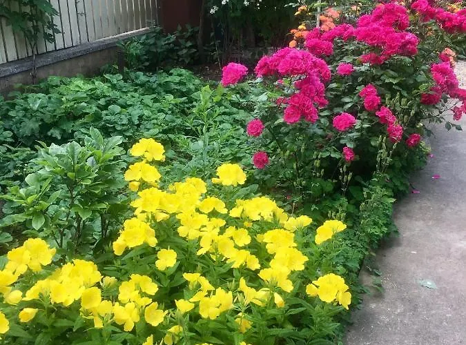 Adriana 3* Észak-Eforie