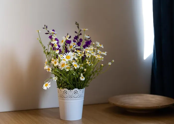 Vendégház Adriana Észak-Eforie