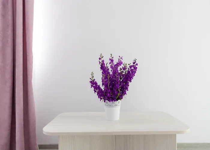 Vendégház Adriana 3*